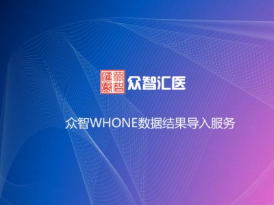 众智WHONE数据结果导入服务